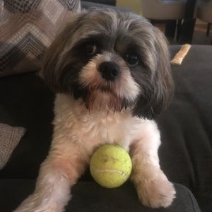 Meet your Posher, Brenda